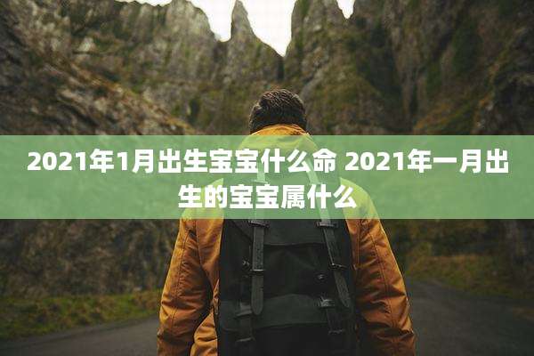2021年1月出生宝宝什么命 2021年一月出生的宝宝属什么