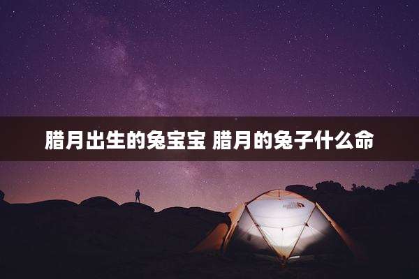 腊月出生的兔宝宝 腊月的兔子什么命