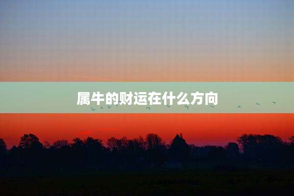 属牛的财运在什么方向