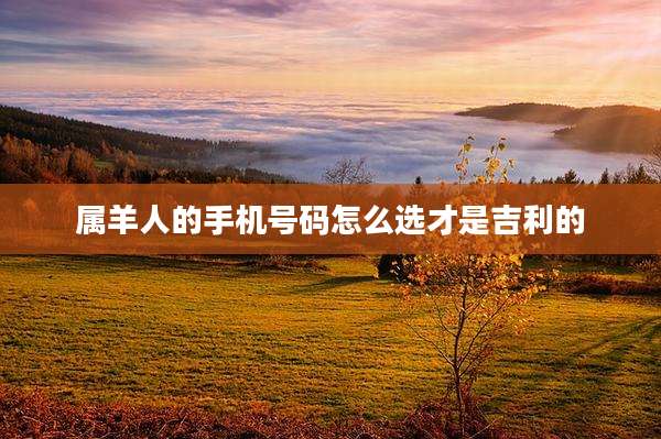属羊人的手机号码怎么选才是吉利的
