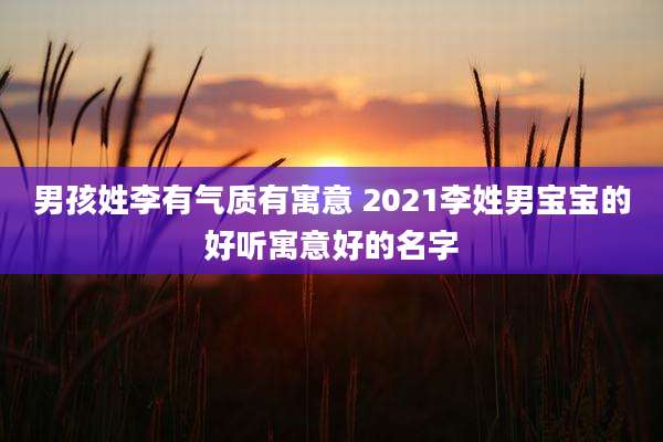 男孩姓李有气质有寓意 2021李姓男宝宝的好听寓意好的名字