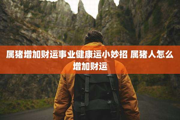 属猪增加财运事业健康运小妙招 属猪人怎么增加财运
