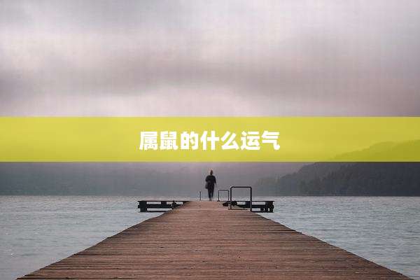 属鼠的什么运气