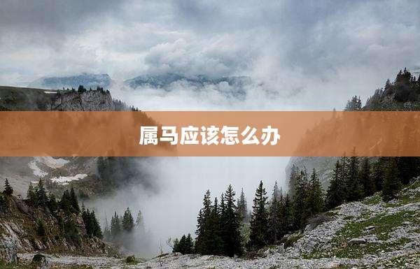 属马应该怎么办