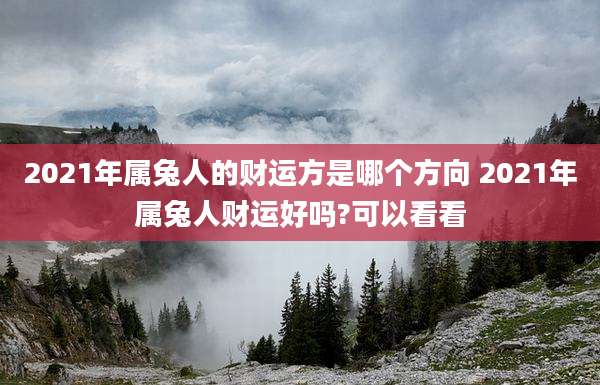 2021年属兔人的财运方是哪个方向 2021年属兔人财运好吗?可以看看