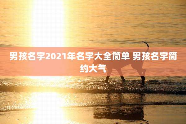 男孩名字2021年名字大全简单 男孩名字简约大气