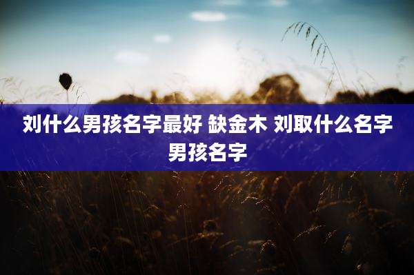 刘什么男孩名字最好 缺金木 刘取什么名字男孩名字