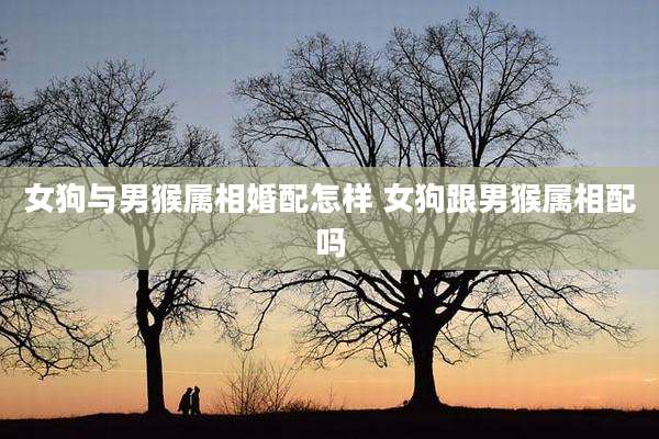 女狗与男猴属相婚配怎样 女狗跟男猴属相配吗