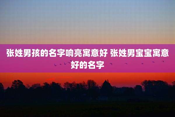 张姓男孩的名字响亮寓意好 张姓男宝宝寓意好的名字
