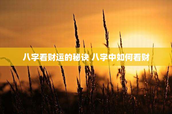 八字看财运的秘诀 八字中如何看财