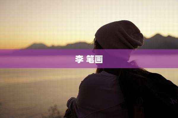 李 笔画