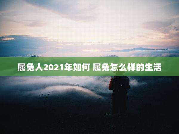 属兔人2021年如何 属兔怎么样的生活