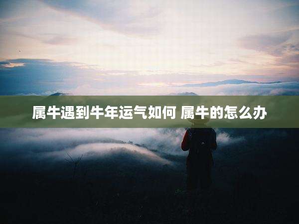 属牛遇到牛年运气如何 属牛的怎么办