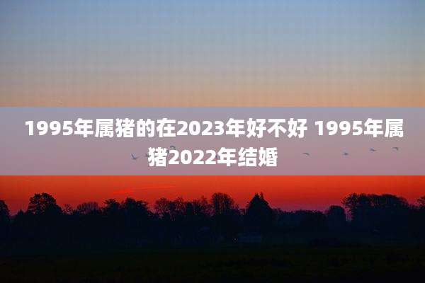 1995年属猪的在2023年好不好 1995年属猪2022年结婚