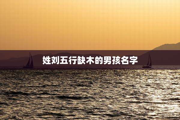 姓刘五行缺木的男孩名字