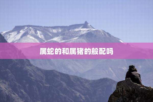 属蛇的和属猪的般配吗