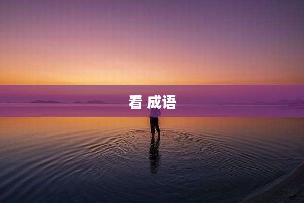 看 成语