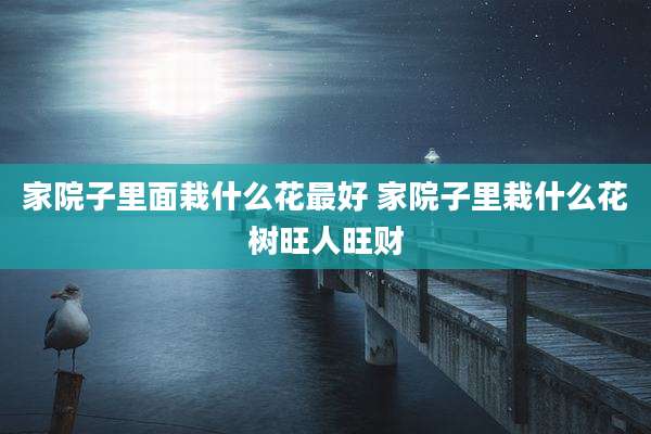 家院子里面栽什么花最好 家院子里栽什么花树旺人旺财