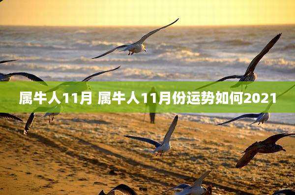 属牛人11月 属牛人11月份运势如何2021