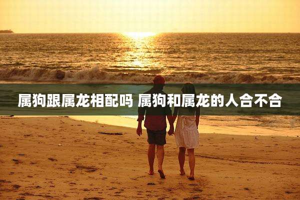 属狗跟属龙相配吗 属狗和属龙的人合不合