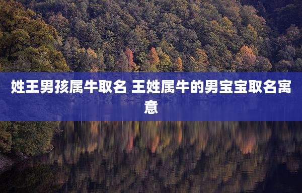 姓王男孩属牛取名 王姓属牛的男宝宝取名寓意