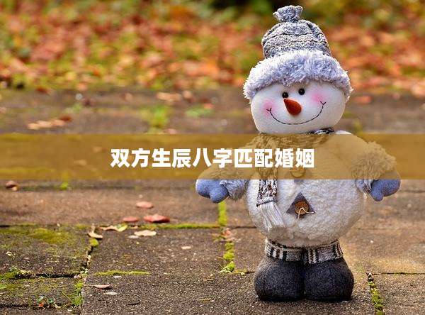 双方生辰八字匹配婚姻