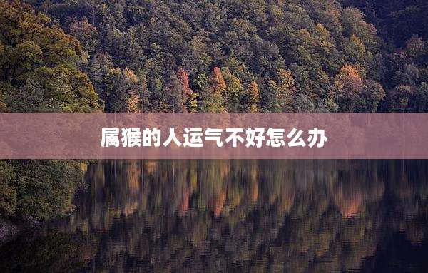 属猴的人运气不好怎么办