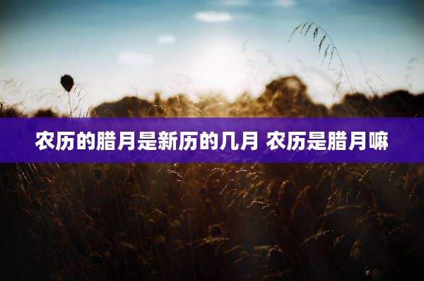 农历的腊月是新历的几月 农历是腊月嘛