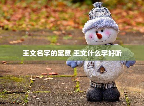 王文名字的寓意 王文什么字好听