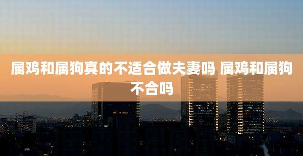 属鸡和属狗真的不适合做夫妻吗 属鸡和属狗不合吗