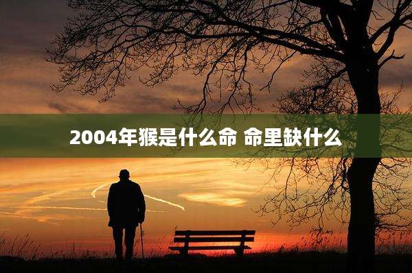 2004年猴是什么命 命里缺什么