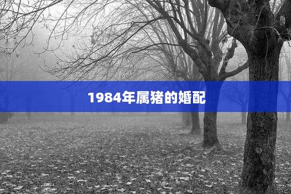 1984年属猪的婚配