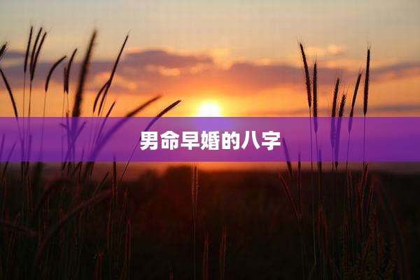 男命早婚的八字