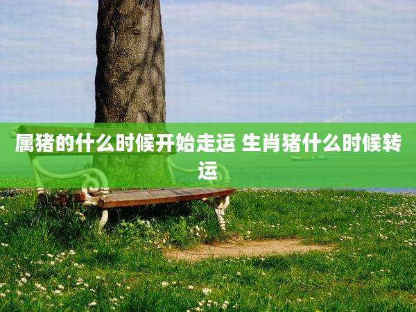 属猪的什么时候开始走运 生肖猪什么时候转运