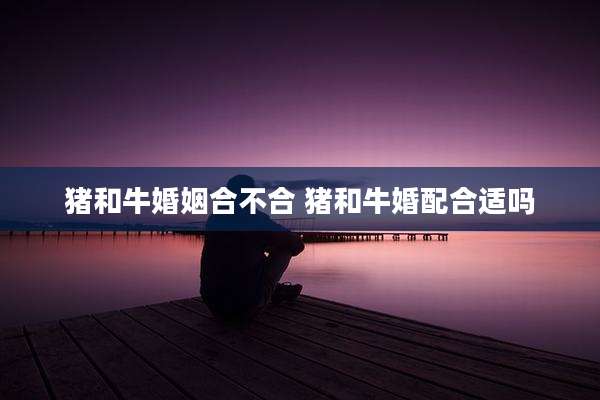 猪和牛婚姻合不合 猪和牛婚配合适吗