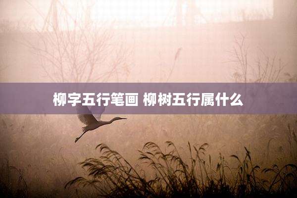 柳字五行笔画 柳树五行属什么