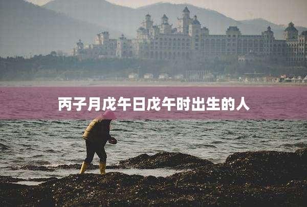 丙子月戊午日戊午时出生的人