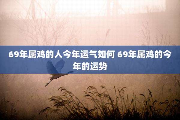 69年属鸡的人今年运气如何 69年属鸡的今年的运势