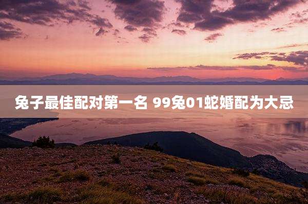 兔子最佳配对第一名 99兔01蛇婚配为大忌