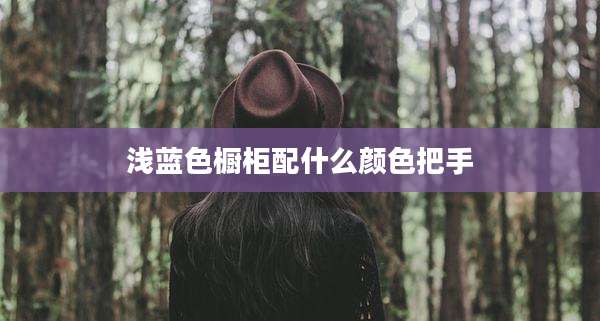 浅蓝色橱柜配什么颜色把手