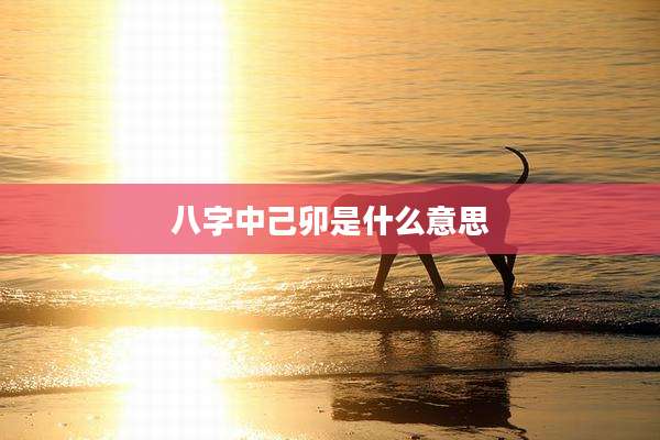 八字中己卯是什么意思