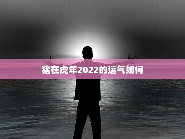 猪在虎年2022的运气如何
