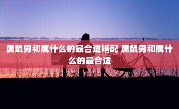属鼠男和属什么的最合适婚配 属鼠男和属什么的最合适