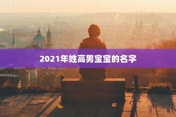 2021年姓高男宝宝的名字