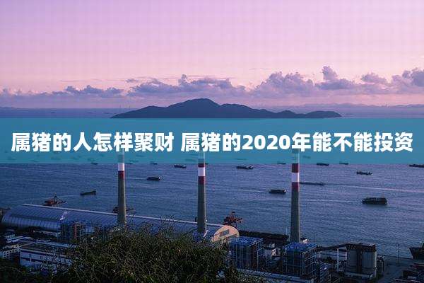 属猪的人怎样聚财 属猪的2020年能不能投资