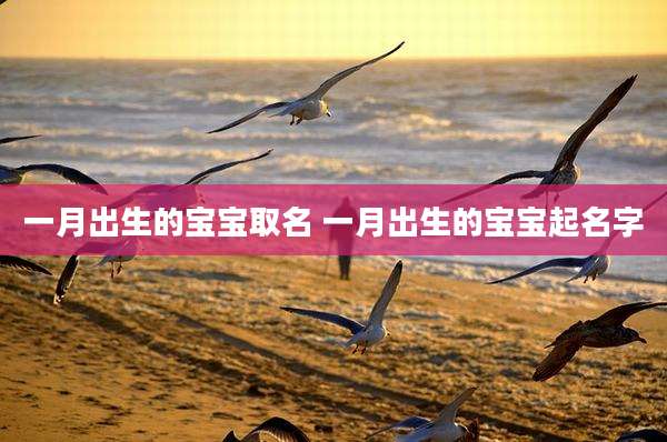 一月出生的宝宝取名 一月出生的宝宝起名字