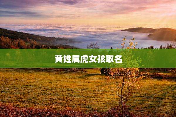 黄姓属虎女孩取名