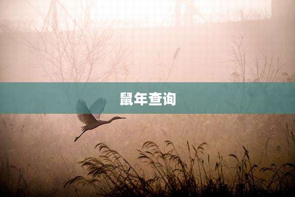 鼠年查询