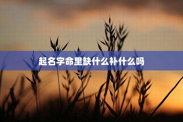 起名字命里缺什么补什么吗