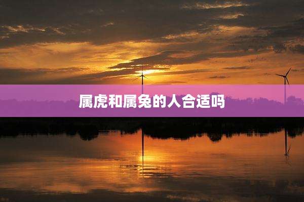 属虎和属兔的人合适吗